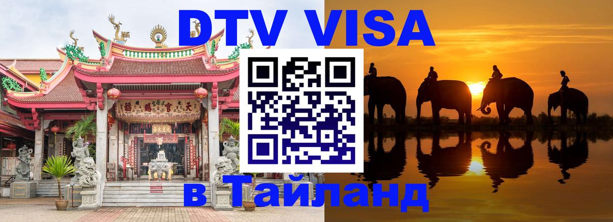 Оформление DTV визы под ключ: стоимость и тарифы, только загранпаспорт - Кишинёв  18.11.2025 